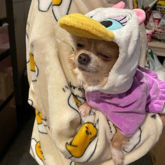 自宅のお客様へ☆彡