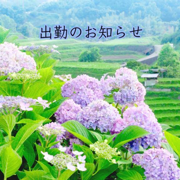 のぞみ