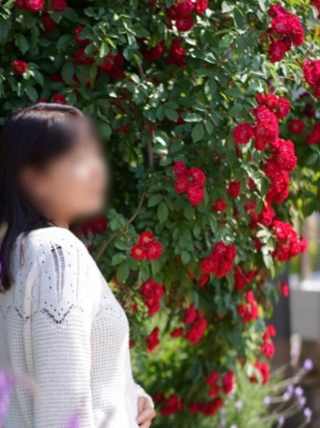 りの（[ｴﾛ妻多数在籍] 妻美喰い ～20代清楚系若奥様から60代ﾄﾞM淫乱熟女まで多数在籍～　宇部-山口-防府-美祢）