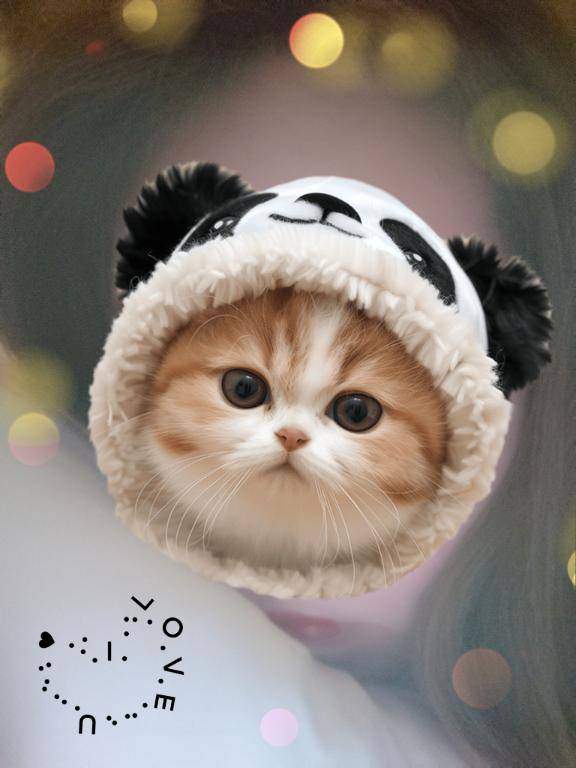 ホテル満208号室のお客様へ?