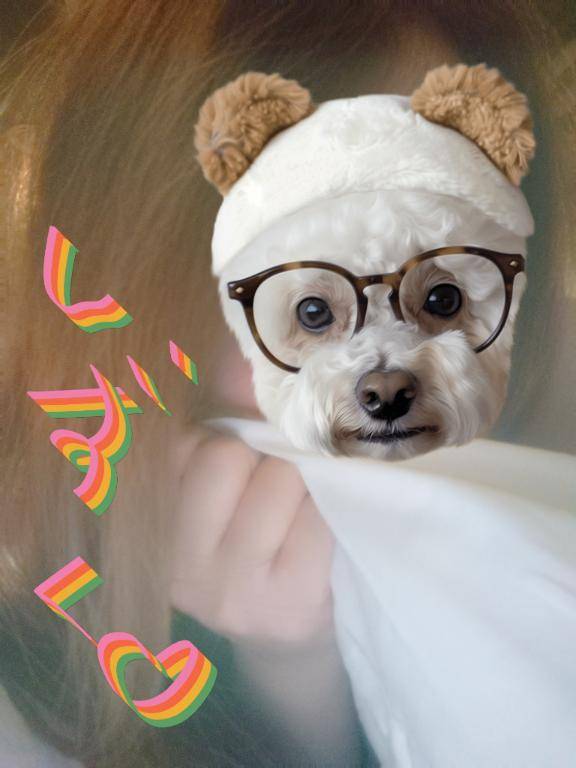 シティホテル桑田町のお客様へ?