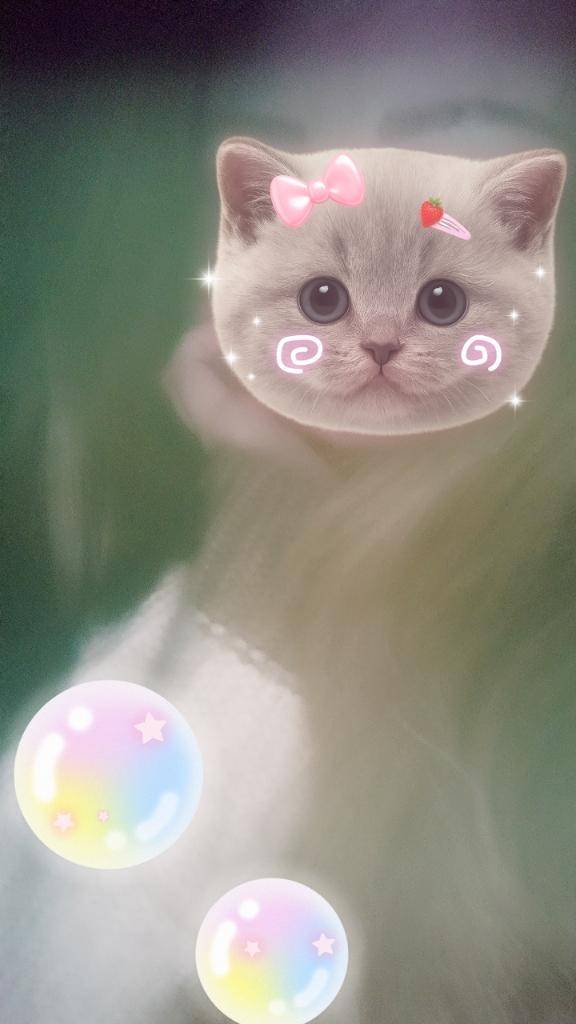 ホテル　マイラのお客様へ?