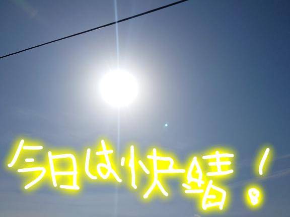 今日も?
