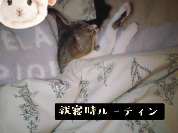 [お題]from:助けてくれたからさん