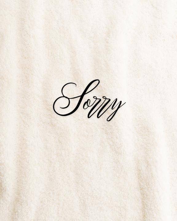 ごめんなさいm(._.)m