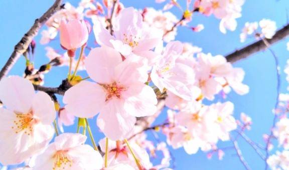 おはようございます?