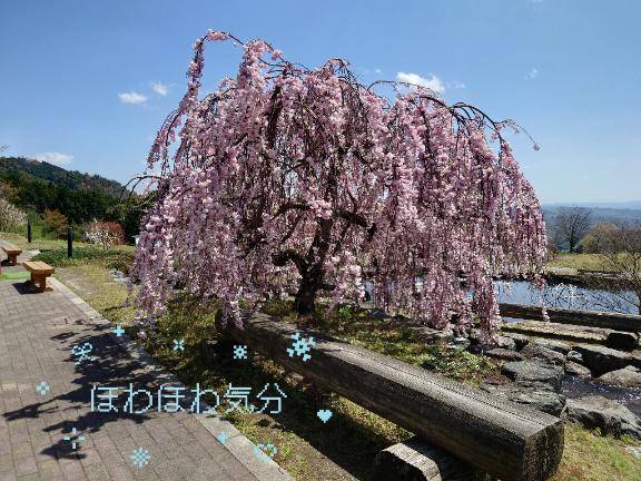 ちょっと見て欲しい！