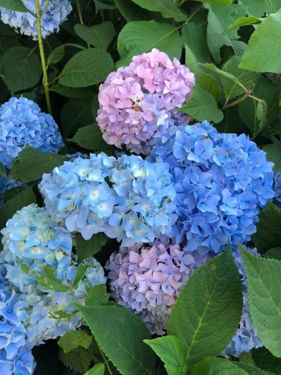 本日終了しました！