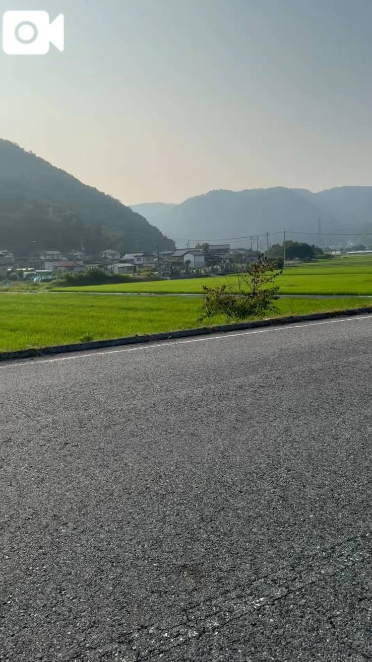 見渡す限り草- ̗̀🌱- ̗̀🌱-
