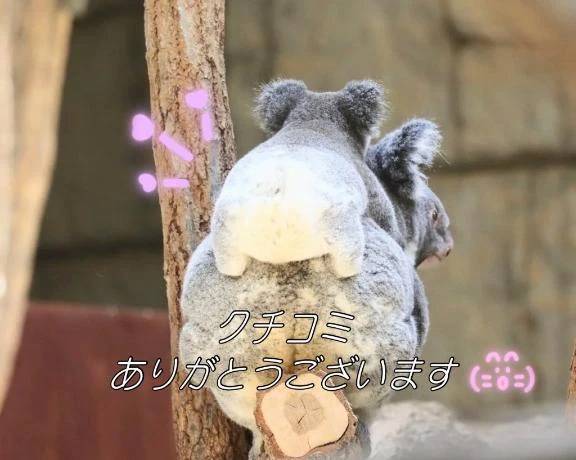 クチコミありがとうございます🤍