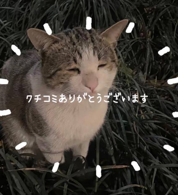 クチコミありがとうございます♡