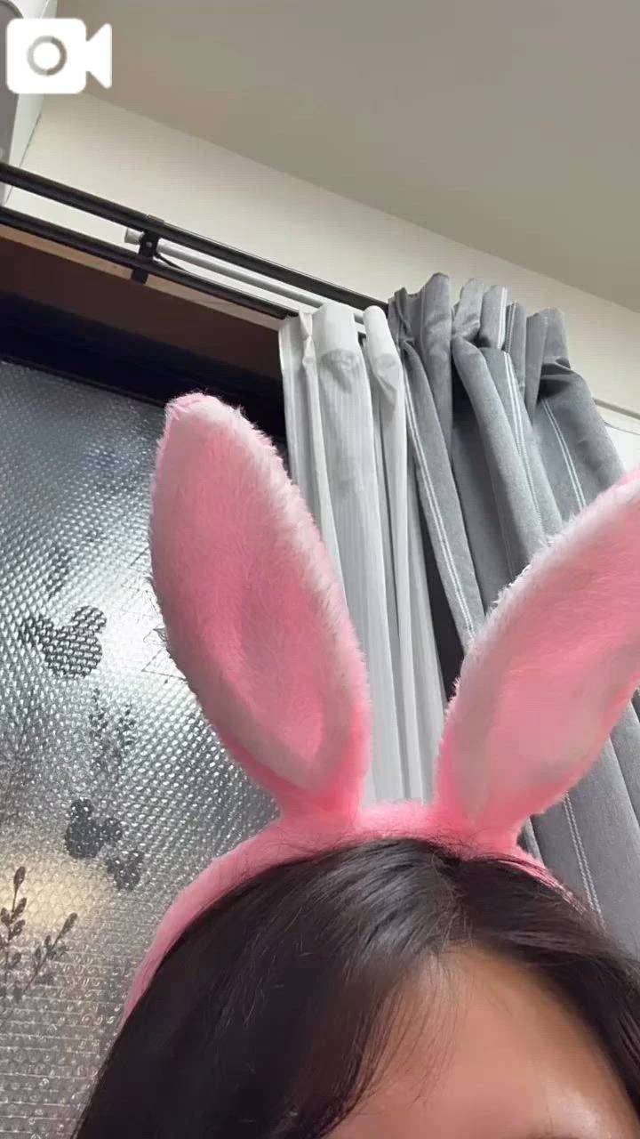 ばにーたん🐰🥺💕︎