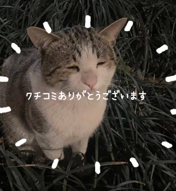 クチコミありがとうございます🤍