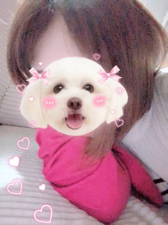 シティホテル桑田町のお客様へ🐻