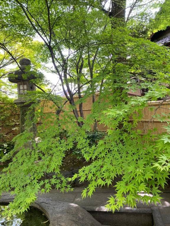秋晴れ🍃