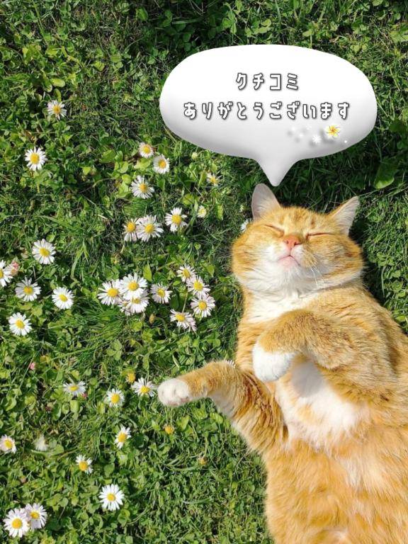 クチコミありがとうございます?