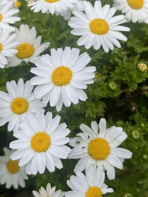 いつもありがとうございます?