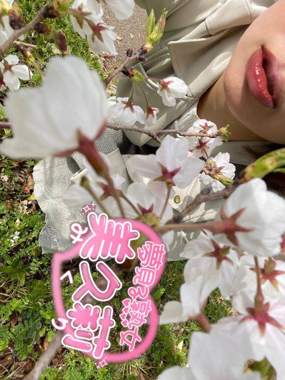 ゆっくり川沿いの桜を見ながら?