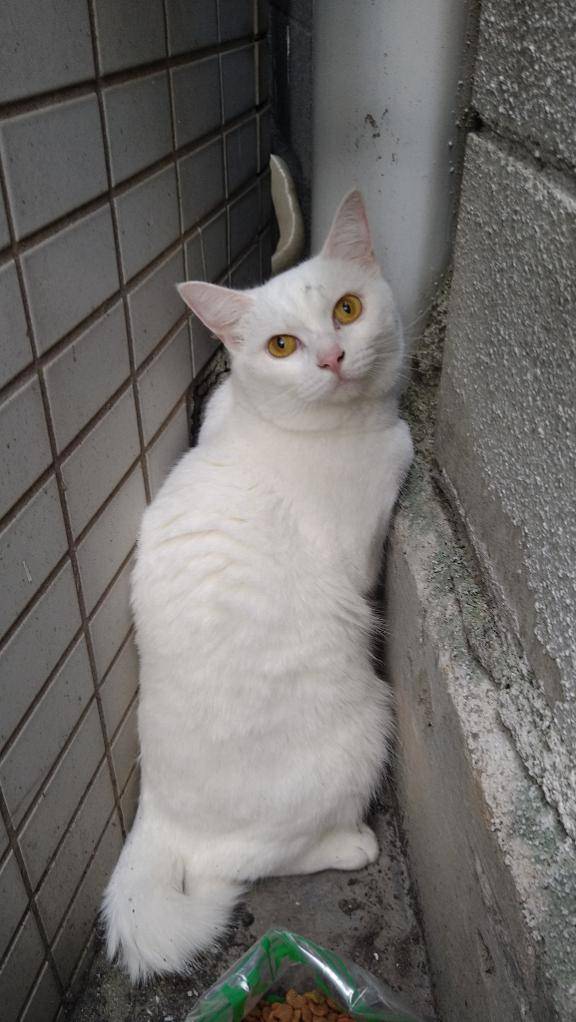 おはようございます?