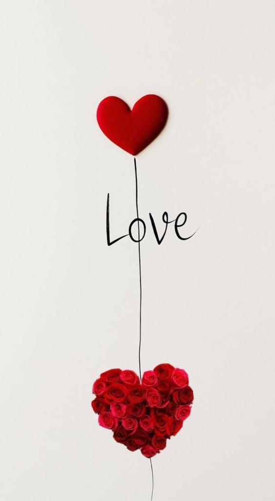 しゅうか606号室さま