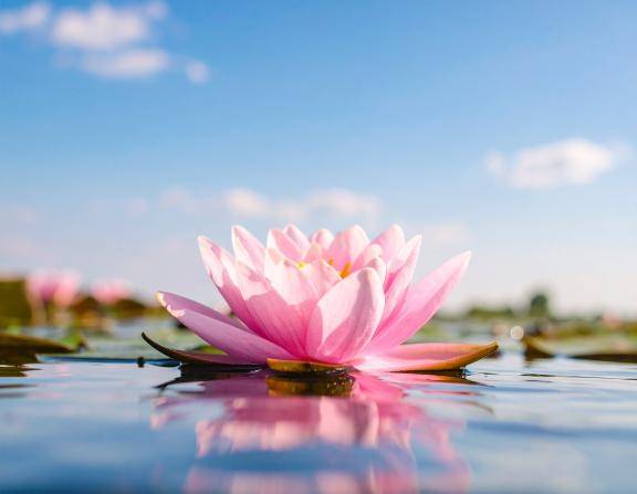 ??それはきっとね??