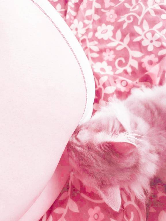 ??おはようございます??