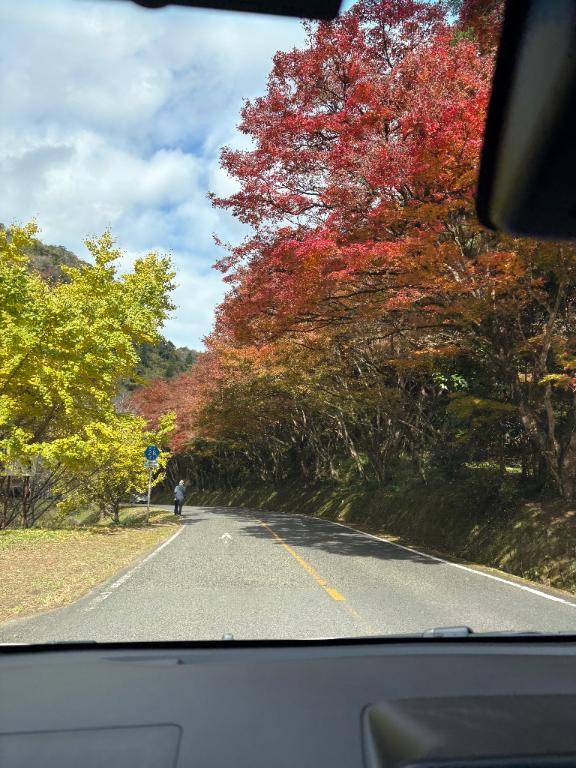 もふもふジャンバーのリピさま