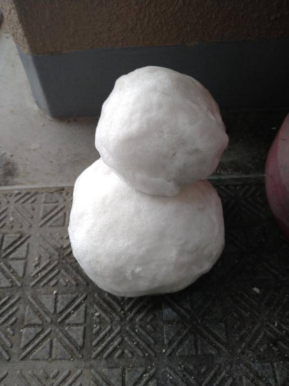 ゆーきやこんこん?