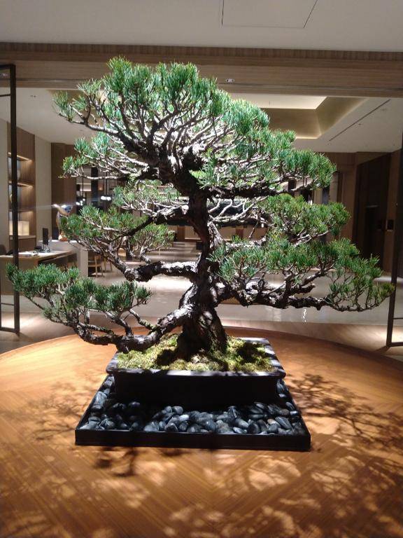 カッコイイ！！