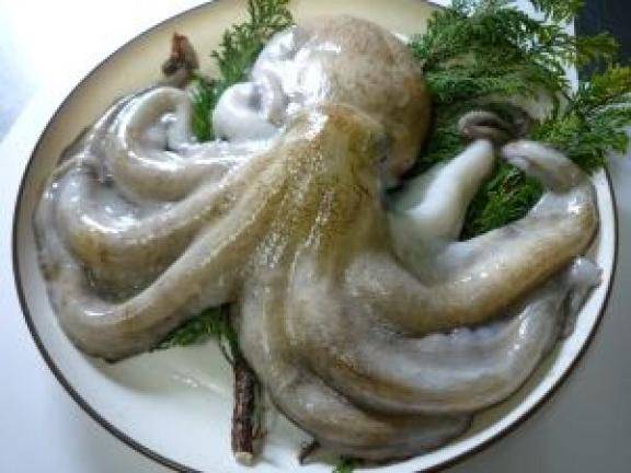 [お題]from:きりんさん