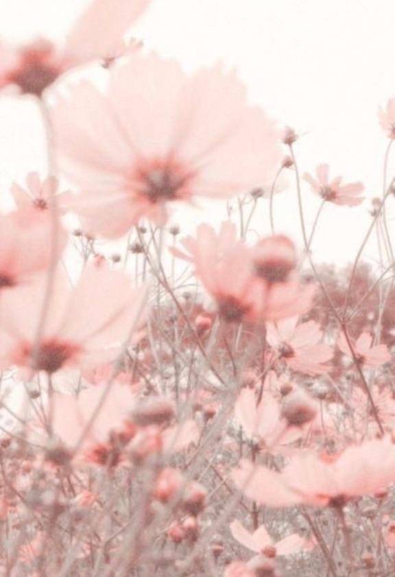 ヴェルシス504号室さま