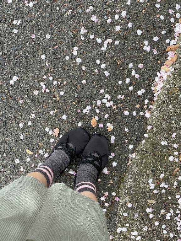 帰りにみた桜は