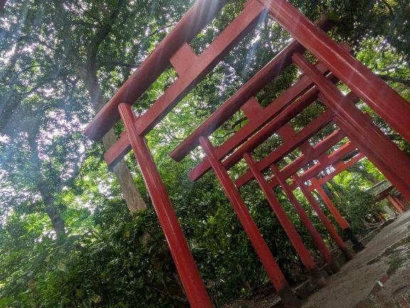 風呂は命の洗濯よ