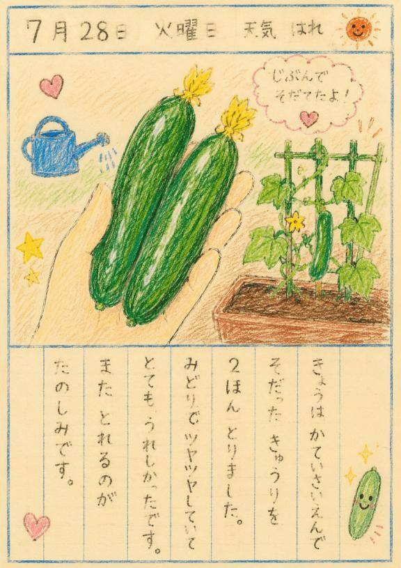 夏休みの宿題