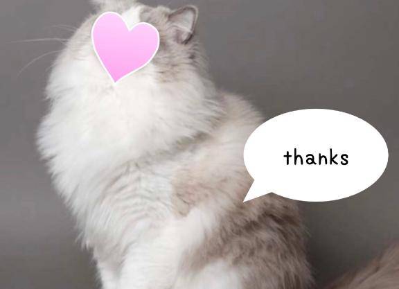special☆thanks。