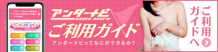 ガイド