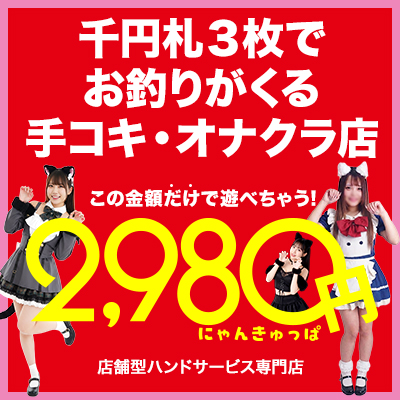 2980円（にゃんきゅっぱ）