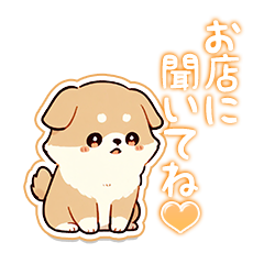 お店に聞いてね