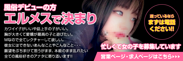 エルメス(岩国～周南)