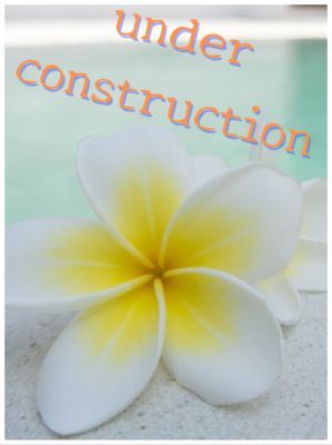 Men's アロマエステ AQUA(今治)（今治デリヘル）