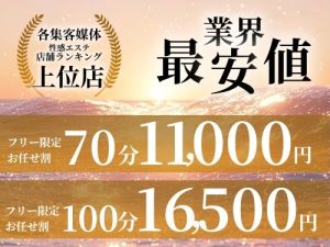 aroma ace. 東広島店(東広島(西条)エステ・性感(出張))