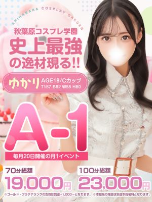 秋葉原コスプレ学園(上野・秋葉原・神田デリヘル)