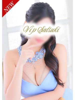 VIP(堀之内・南町ソープ)