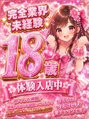 美しい大人の女性&乙女専門店!花さくら(加古川・高砂方面デリヘル)