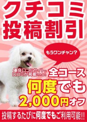 山口市湯田ちゃんこ(山口市デリヘル)