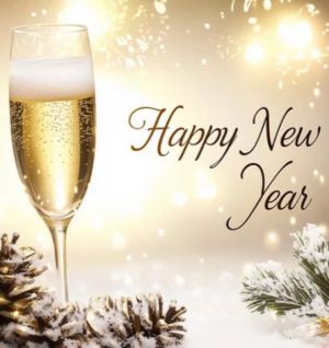 華恋～カレン～（新居浜デリヘル）