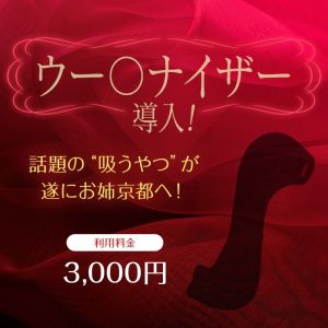 （お姉京都）ウー〇ナイザー導入！