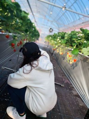 このド変態 高知店（高知市デリヘル）