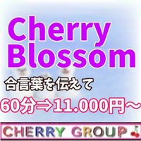 チェリーブロッサム(奈良市デリヘル)