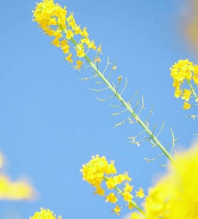 お誘い(∩´∀`∩)💕ありがとうございましたぁ🫶